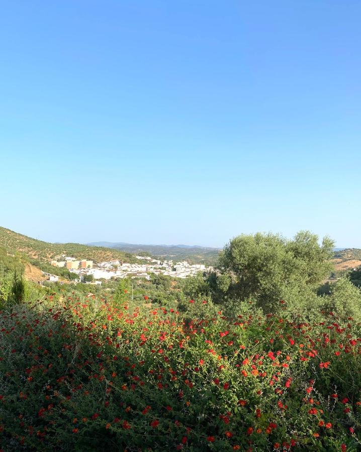 El Molino De La Quinta Apartment Константина Екстериор снимка
