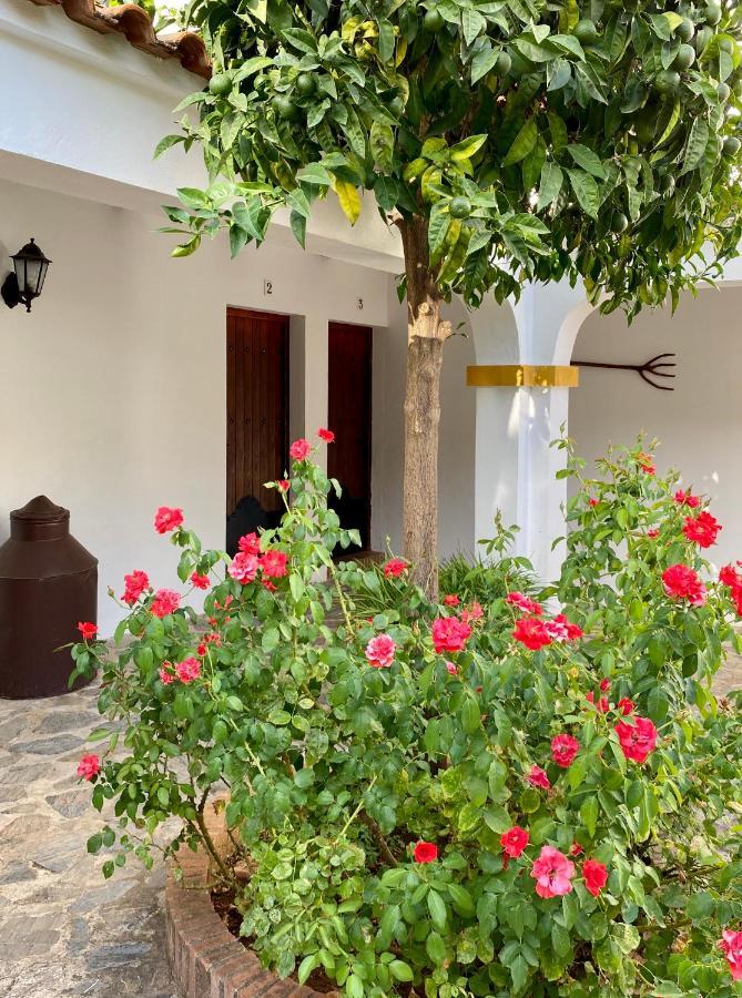 El Molino De La Quinta Apartment Константина Екстериор снимка